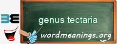 WordMeaning blackboard for genus tectaria
